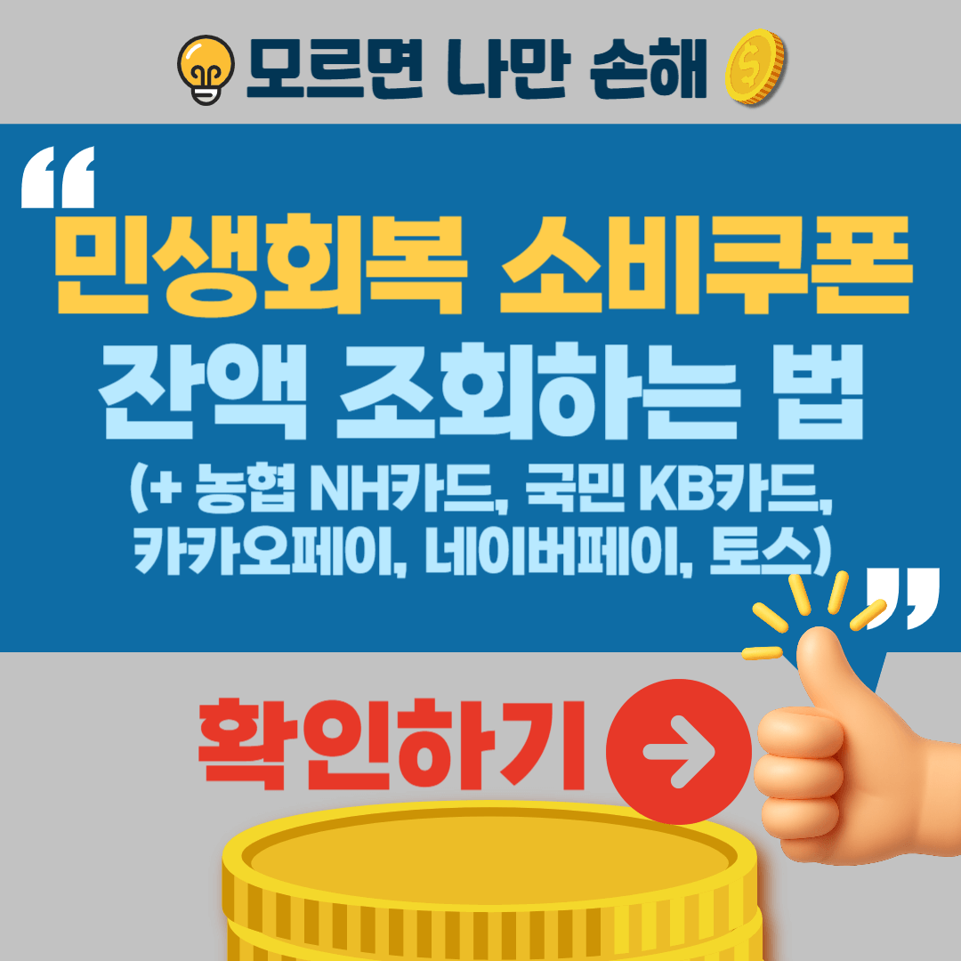 민생회복 소비쿠폰 잔액조회 확인 NH카드 KB카드 네이버페이 카카오페이 토스