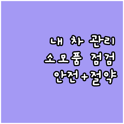내 차를 위한 완벽 가이드: 소모품 