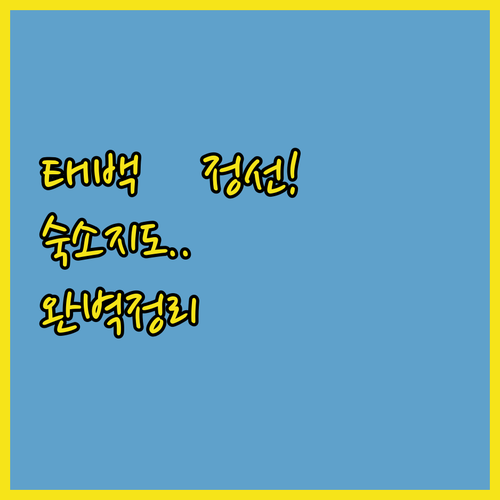 태백호텔부터 정선 트라움밸리까지 지역..