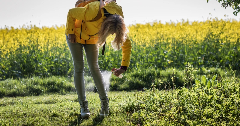 살인진드기 예방