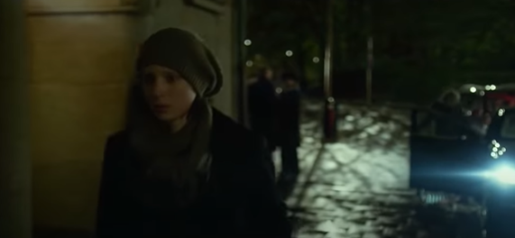 미카엘과 함께 사건을 파헤치는 해커