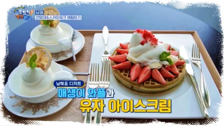보고먹고즐기고 쓰리고 남해 멸치쌈밥 맛집 & 남해 여행 코스 펜션 숙박 추천 및 편백숲 양떼목장 스카이워크 남해 여행 정보