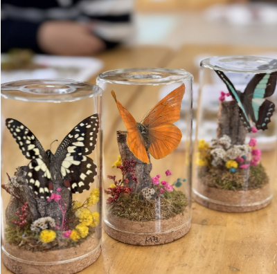 곤충 디오라마만들기