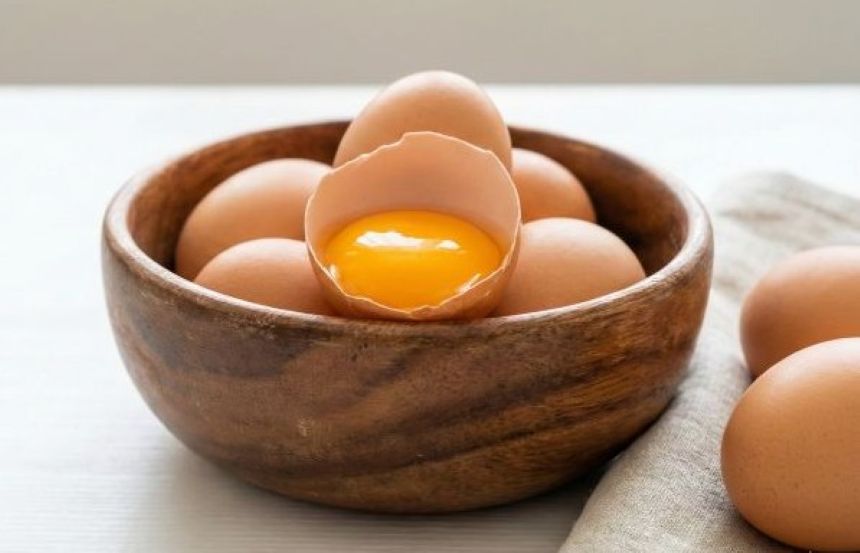 고지혈증 환자가 걱정하는 계란 노른자와 신선한 달걀