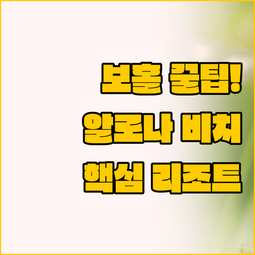 보홀 여행 핵심 키워드 와일드플라워와..
