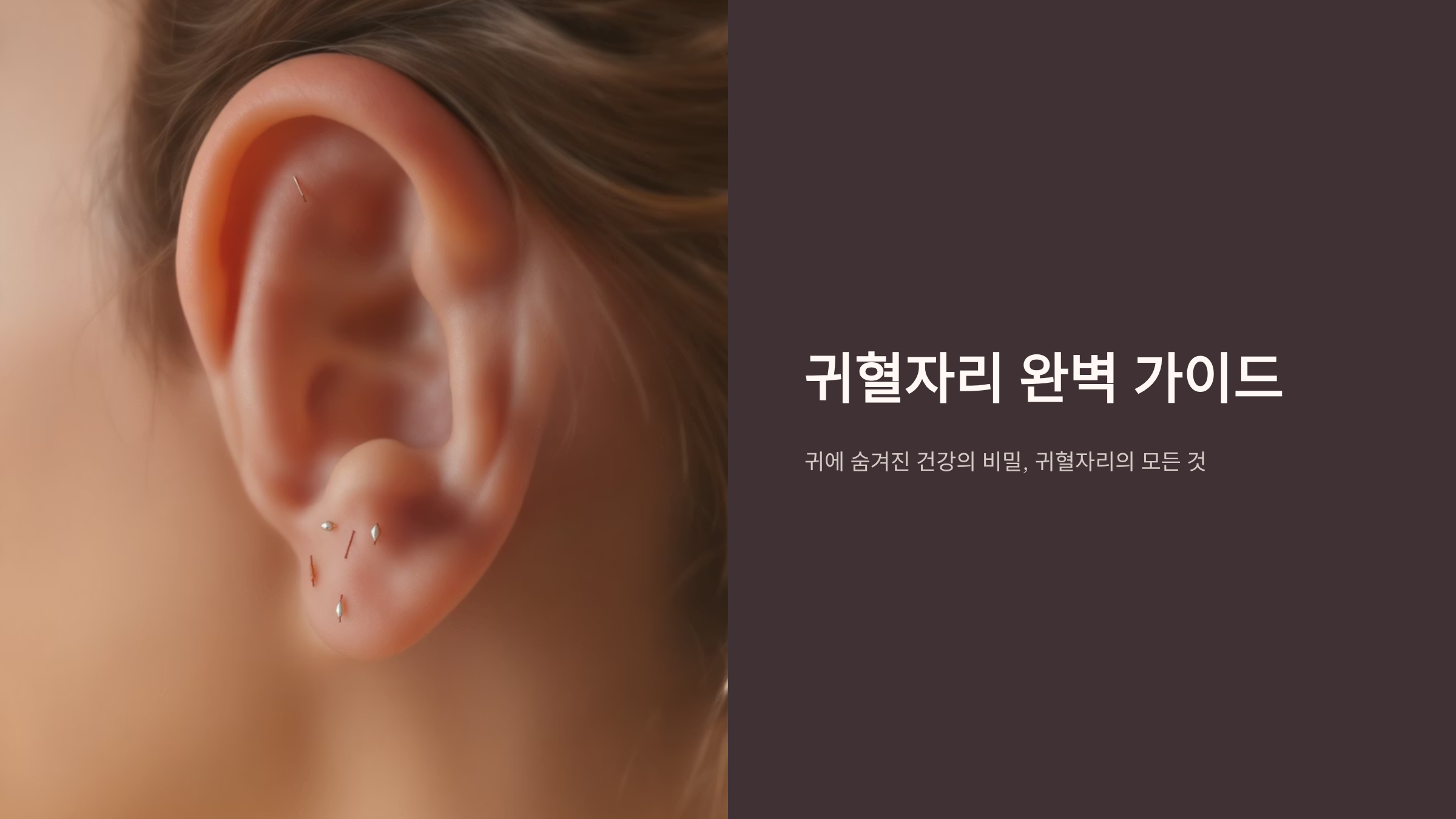 귀혈자리 완벽 가이드