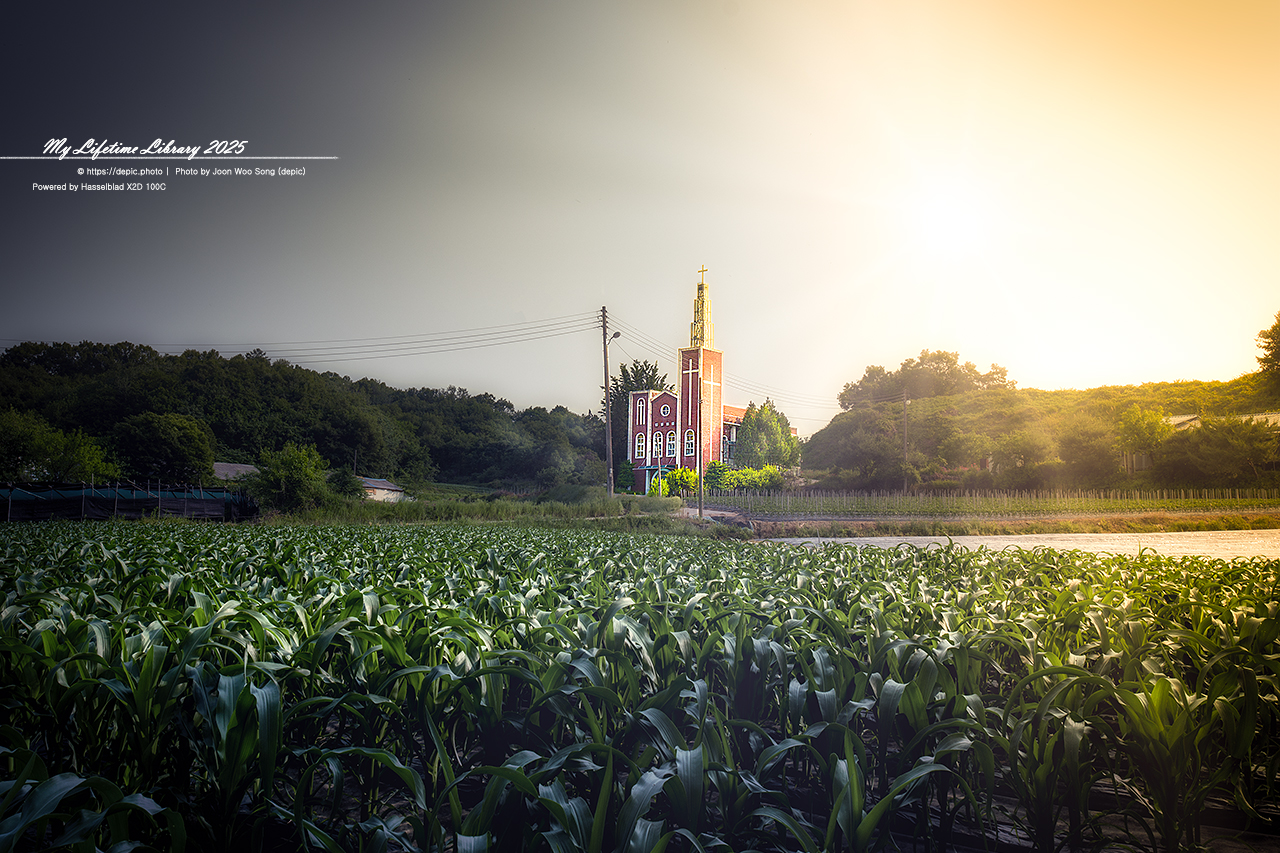#개신교 #괴산 #감물 #백양교회