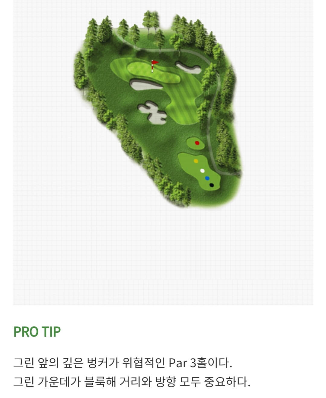 솔모로 컨트리클럽 메이플코스 07