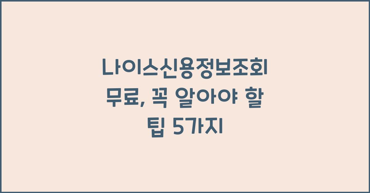 나이스신용정보조회 무료