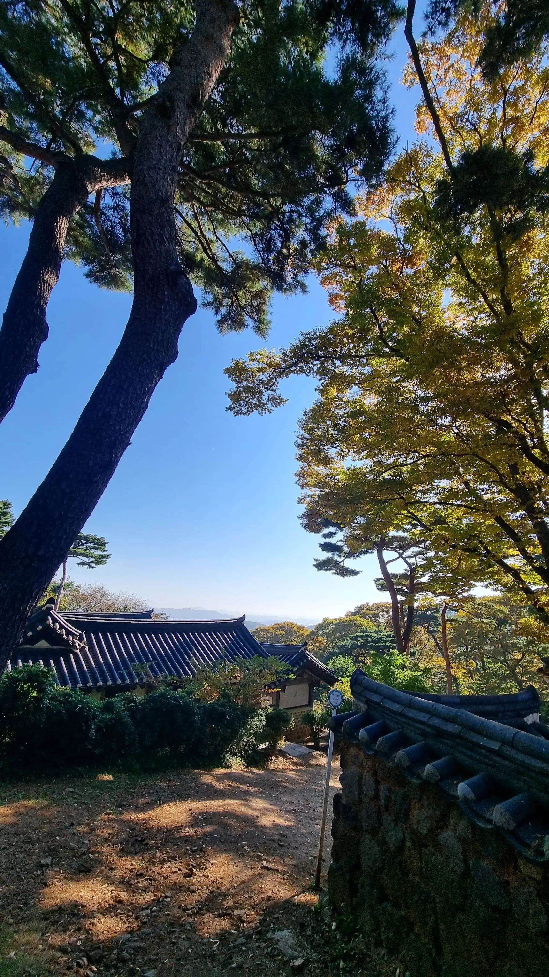 단풍이 시작된 강화 전등사, 레트로 까페 조양방직, 주차장, 메뉴 , 강화도 여행