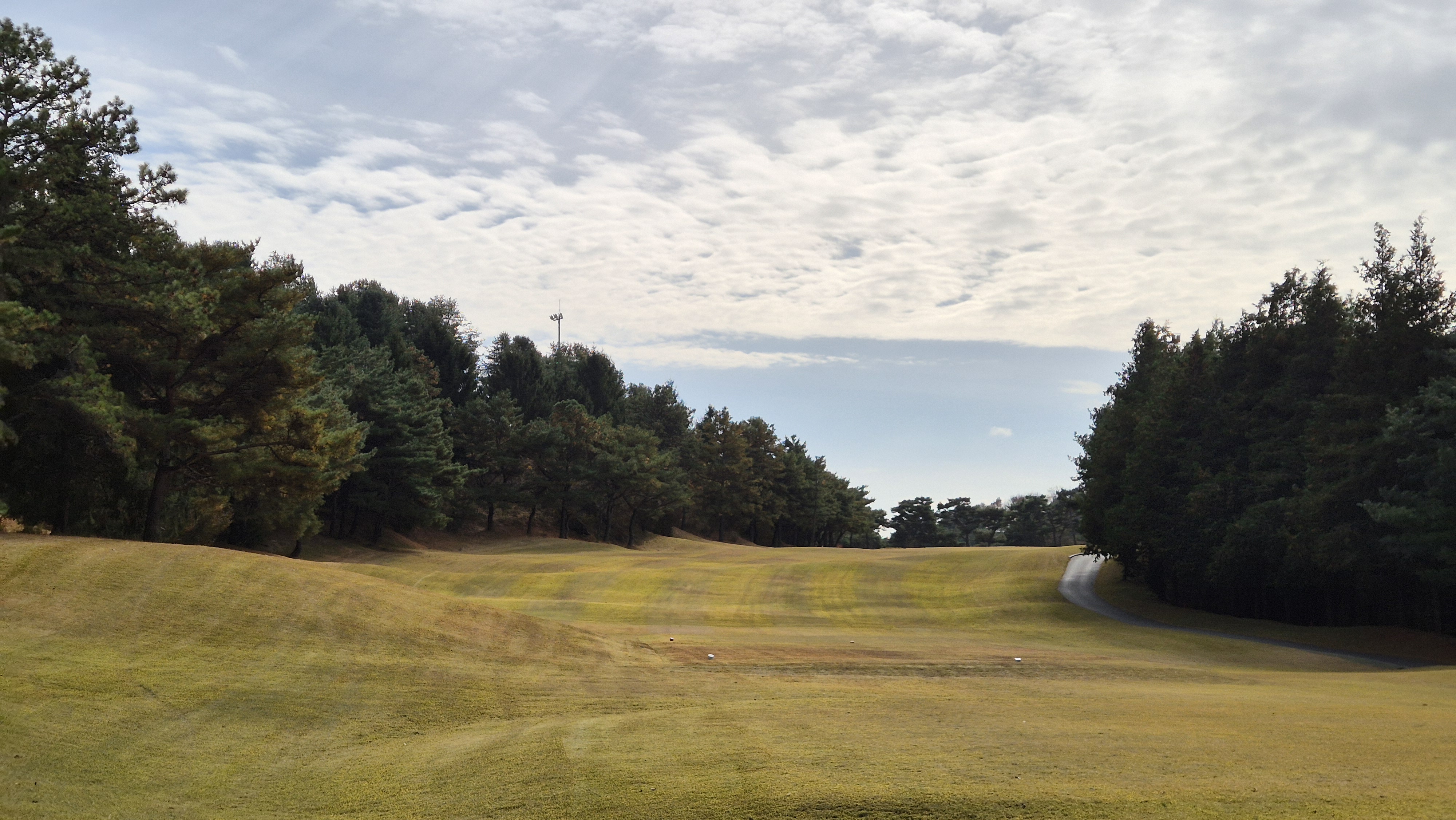 세종에머슨cc 마운틴코스 사진 및 공략 정보