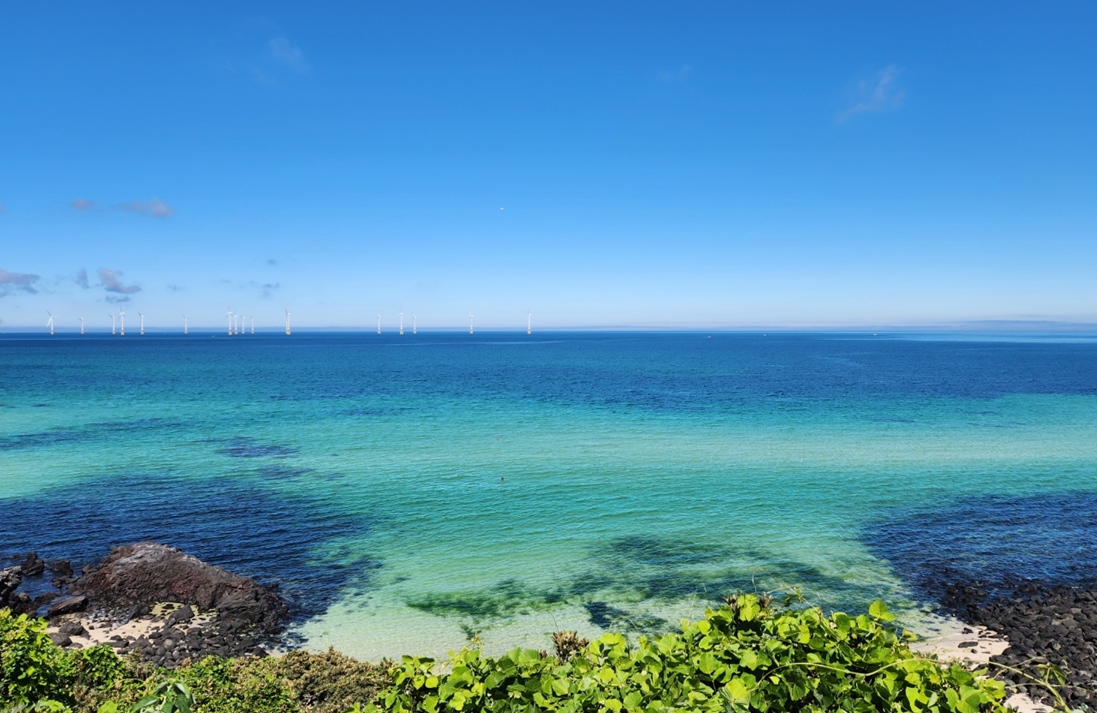 제주 애월온기 솥밥맛집 후기