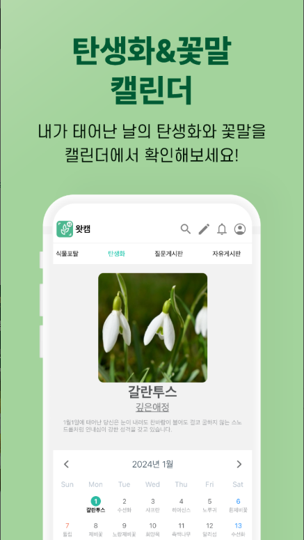 식물도감 앱, 핸드폰 식물 백과사전, 식물 식별자
