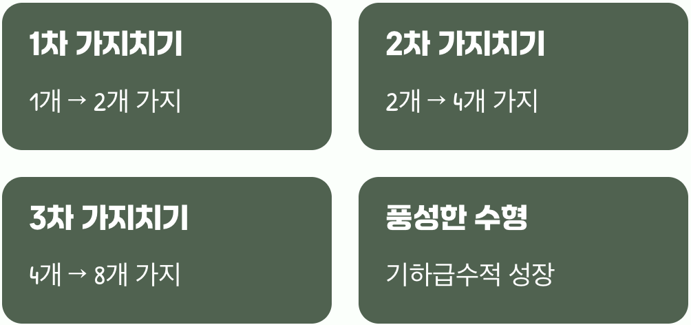 풍성함을 위한 두 번째, 세 번째 다듬기