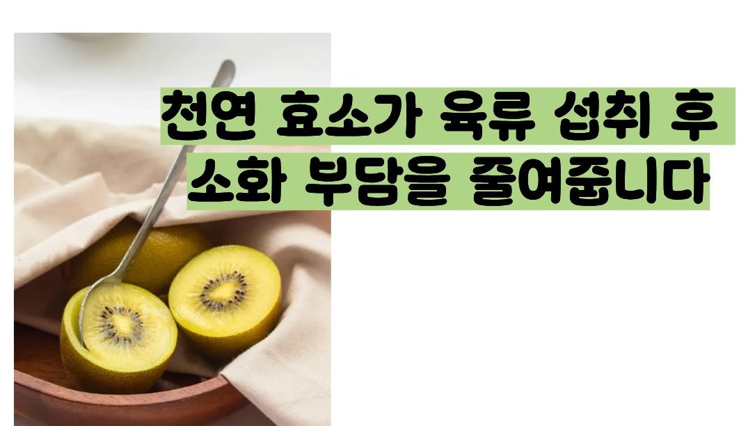 키위 효능