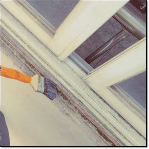 돈벌레 나오는 이유! 퇴치법