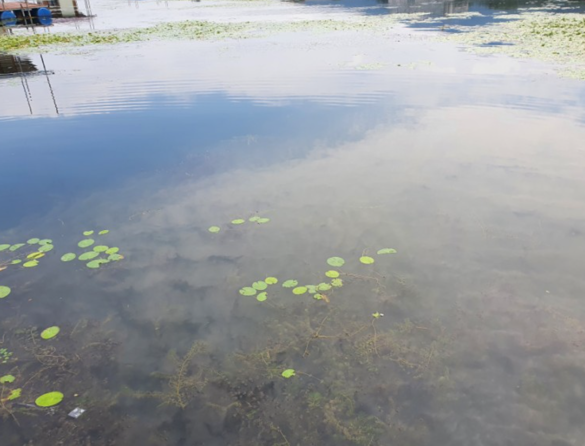 붕어낚시터-사진