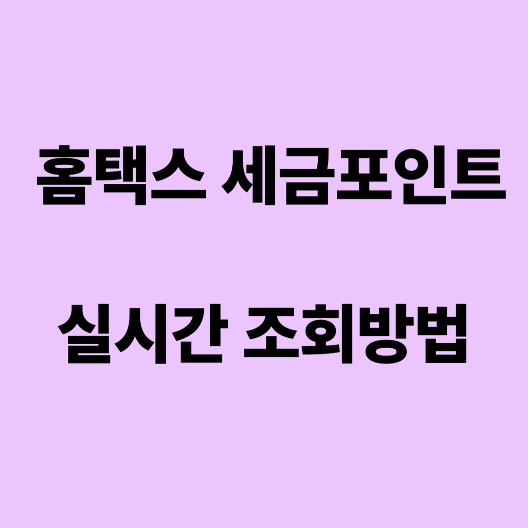 국세청 세금포인트 실시간 조회