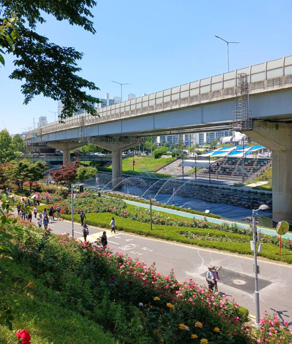 장미공원 아래 분수쇼