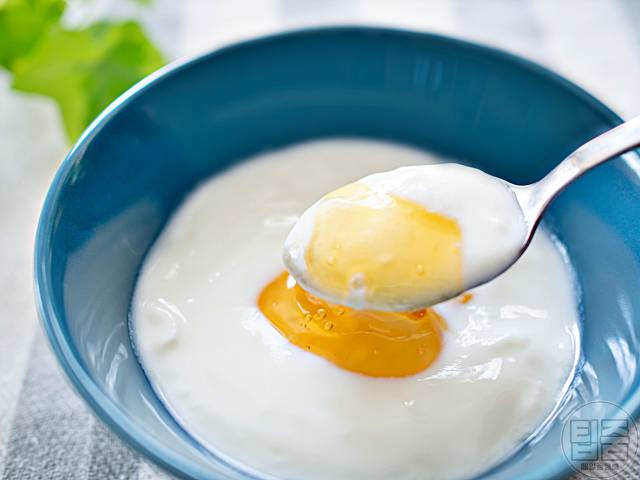 유산균 함량 많은 음식 그릭요거트 유산균추천