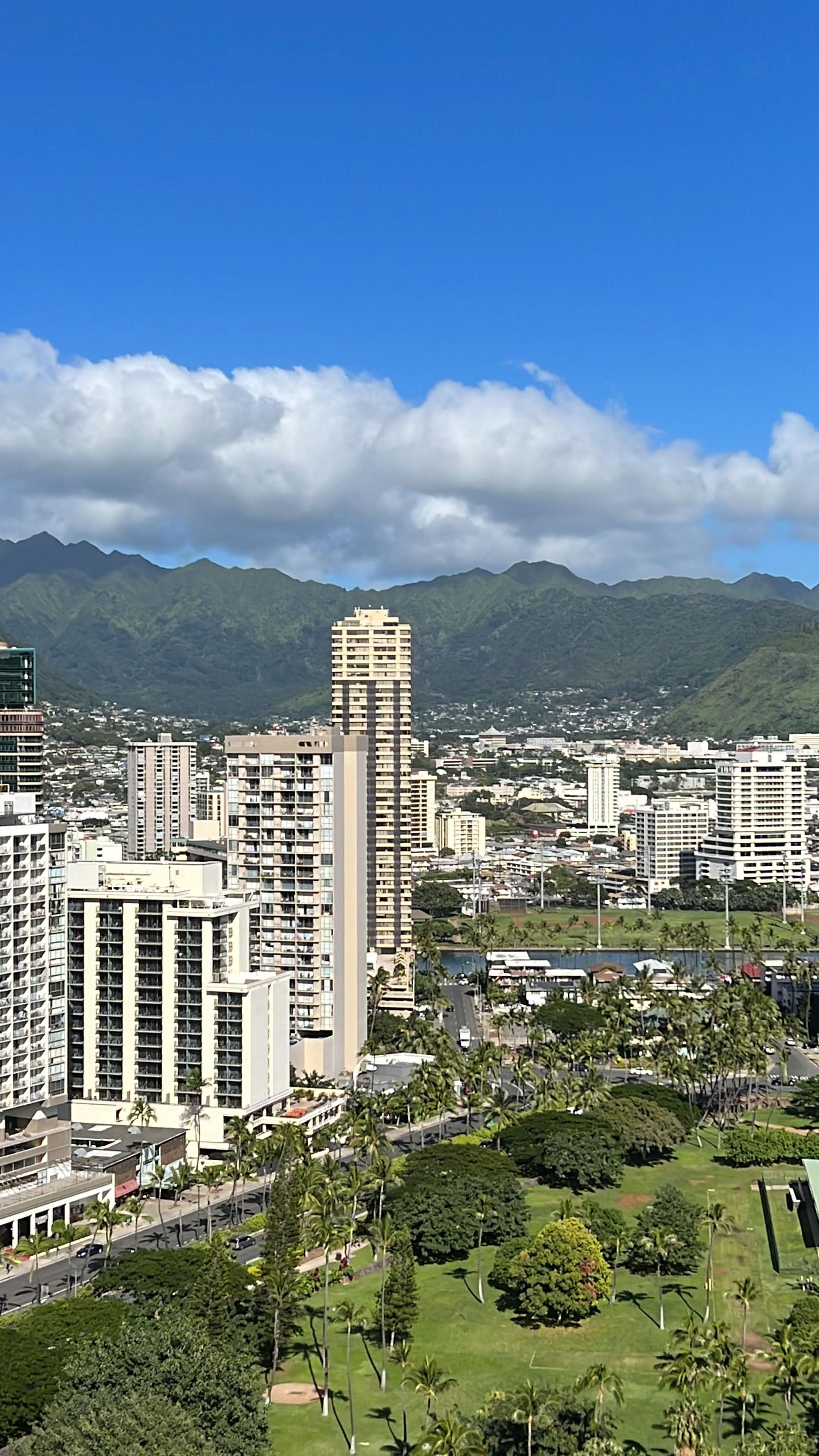 크리스마스-하와이여행-힐튼-와이키키