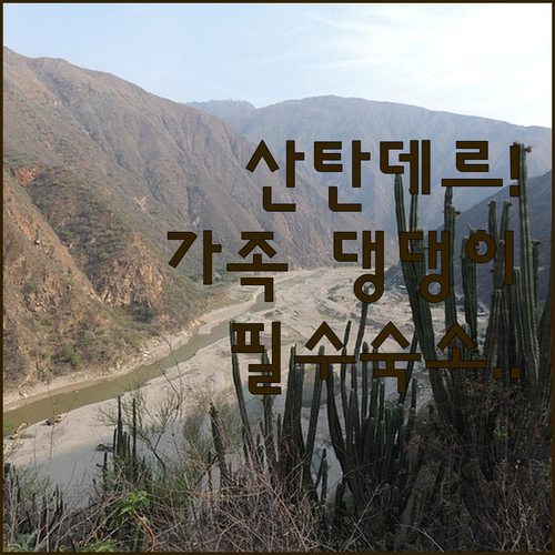 가족 여행과 반려동물 동반 가능한 산..