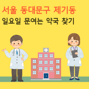서울 동대문구 제기동 일요일 당번약국