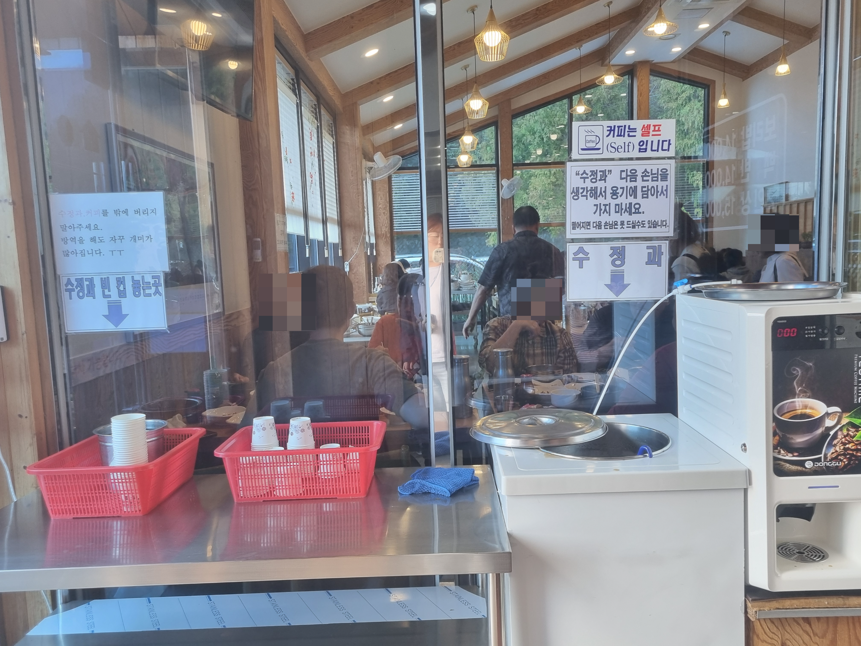벽오동