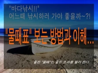 낚시 물때표 보는 법 바다 물결 밀물 썰물 이해하기_7
