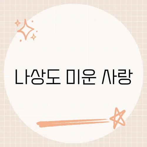 나상도 미운 사랑, 그의 감미로운 목소리로 재해석된 이 곡의 매력은?