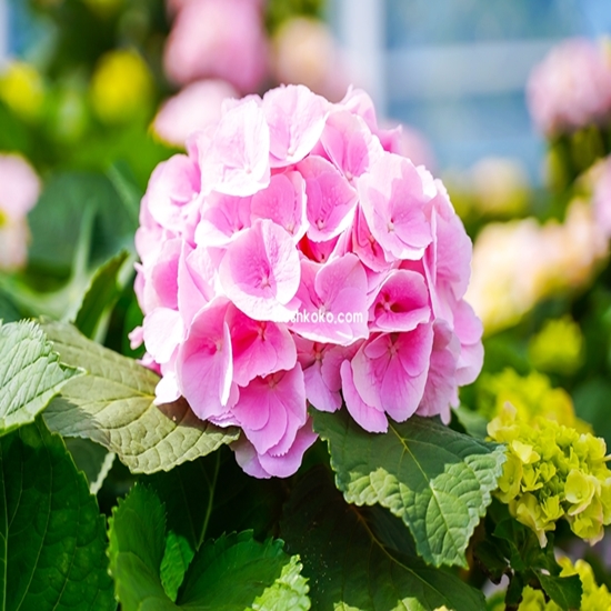 5월에 가볼만한 국내여행지