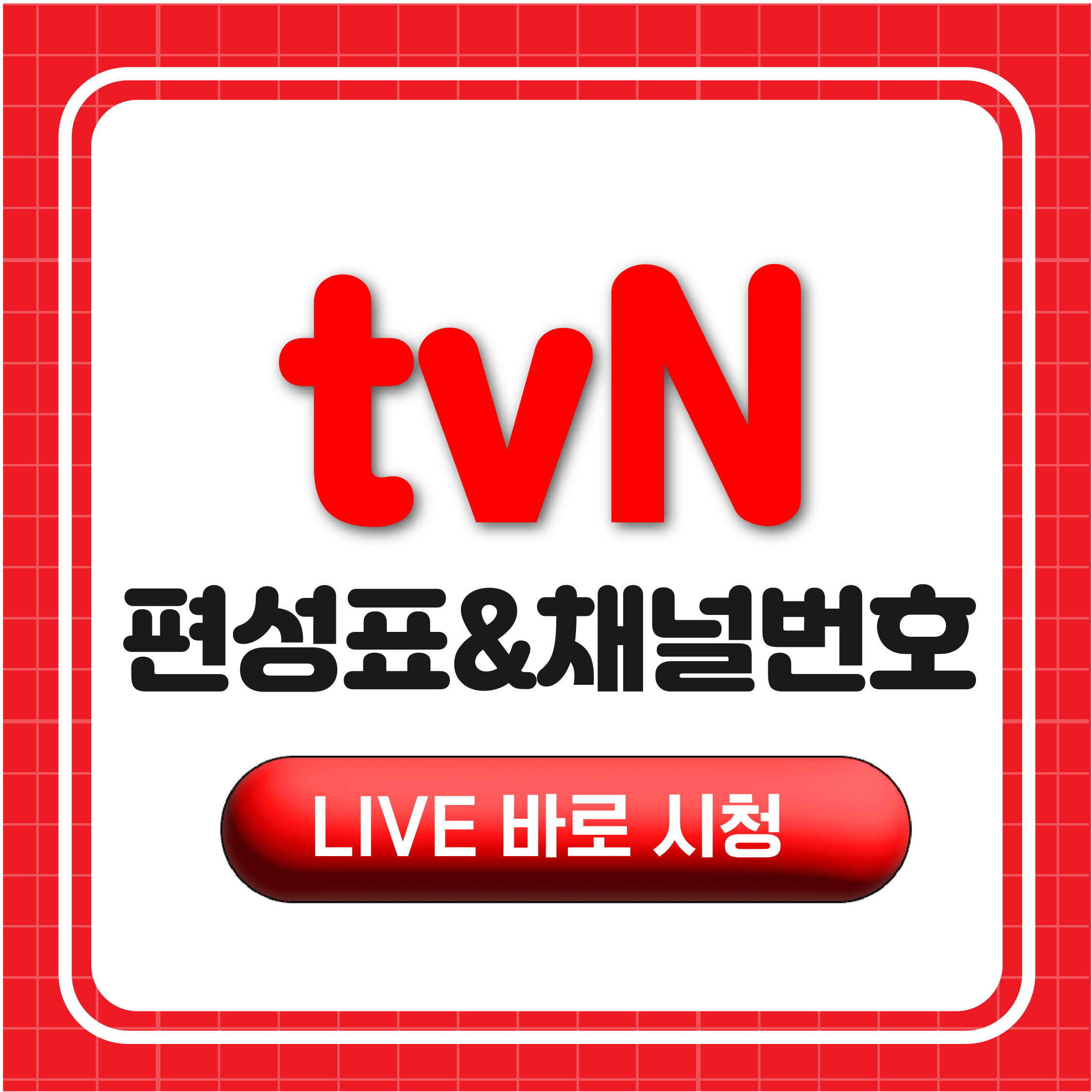 tvN 편성표 및 채널번호 총정리