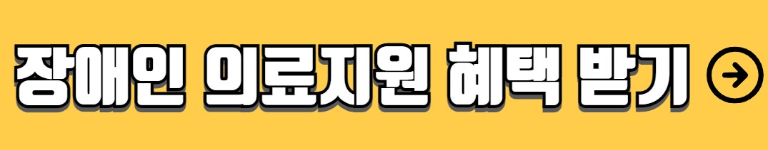 청각장애인 혜택 정부지원 혜택
