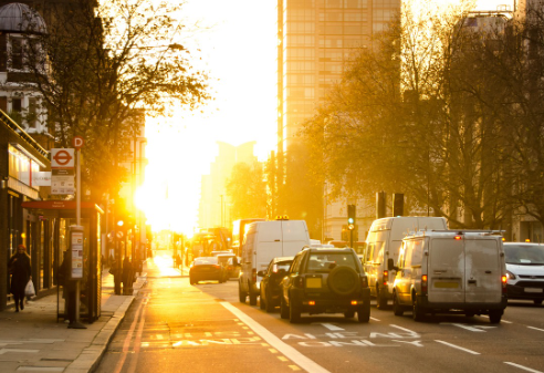 [65세 이상 고령 운전자] 교통안전교육 신청/ 예약 (최신)