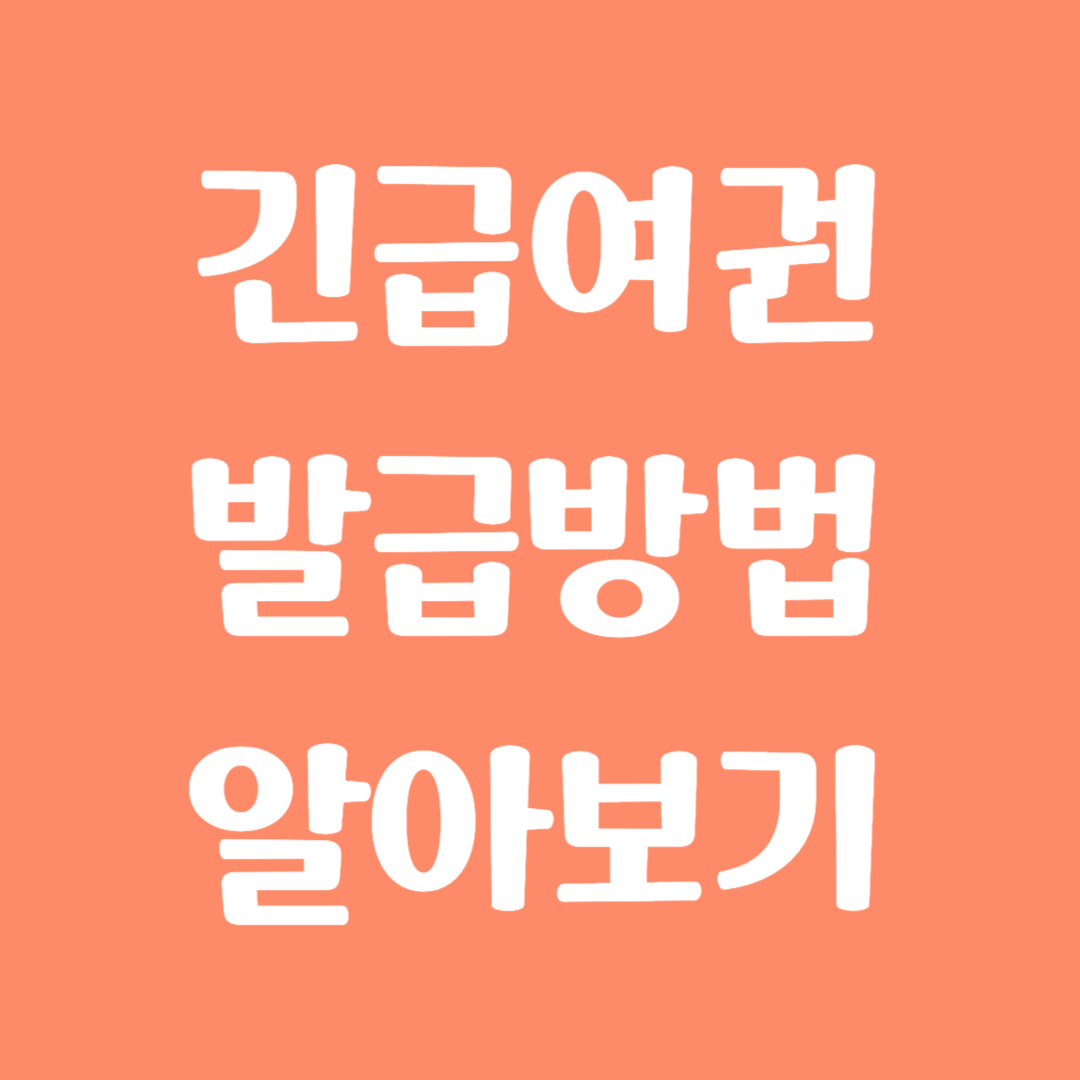 긴급여권 발급 방법 알아보기