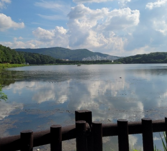 서울근교벚꽃명소