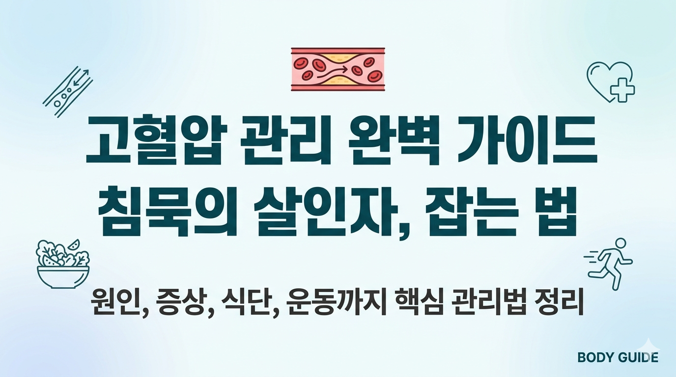 고혈압 관리 완벽 가이드