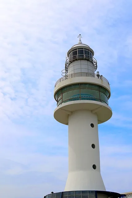 묵호항 배시간표 배편 요금 예약_7