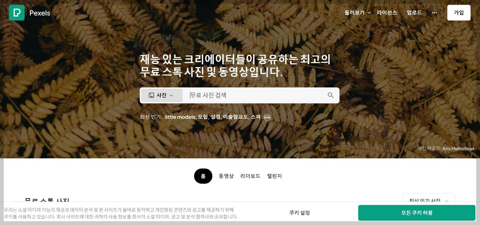 저작권 없는 무료 이미지 사이트