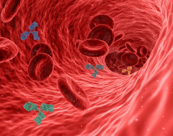 좋은 콜레스테롤 높이는 방법 관련 이미지