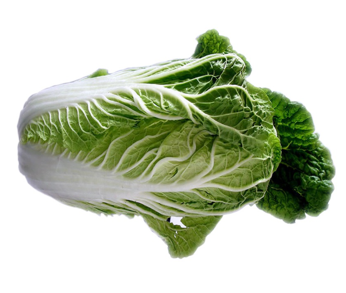 11월 제철음식 배추