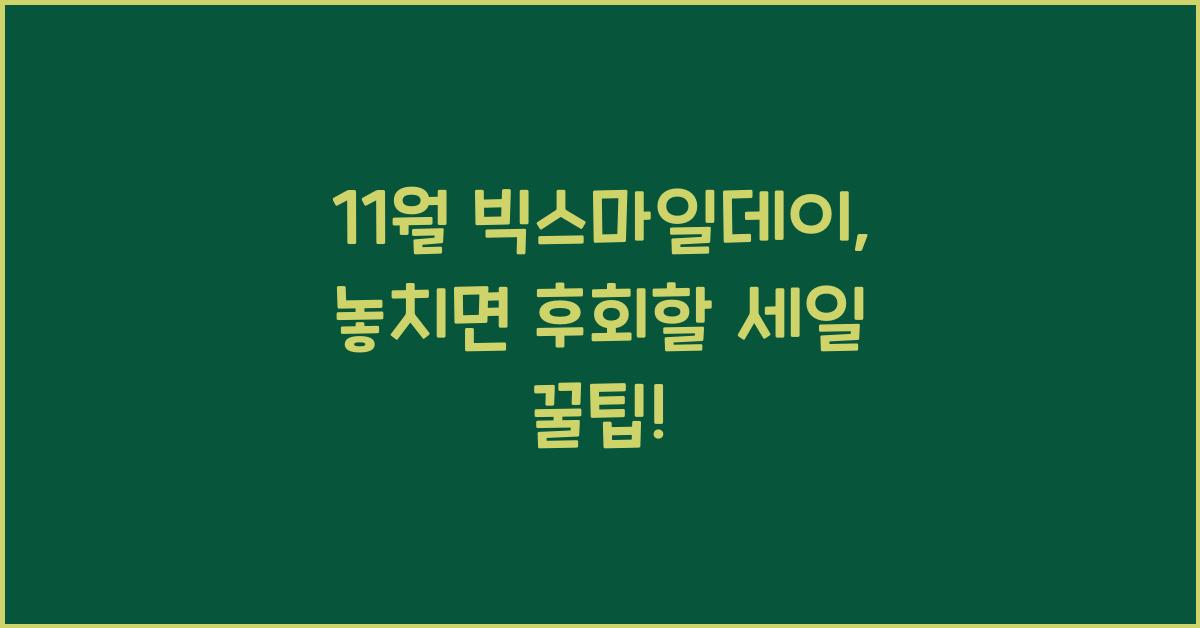 11월 빅스마일데이