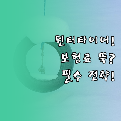 윈터타이어 장착으로 보험료 절감하는 ..