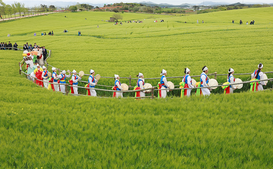 2026 고창 청보리밭 축제 기간 프로그램 주차장 당일치기 투어
