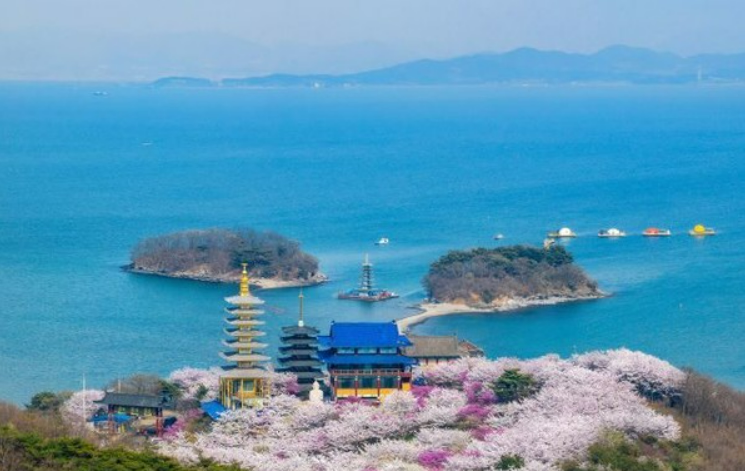 태안 튤립축제 기간, 입장료, 여행코스, 맛집 총정리