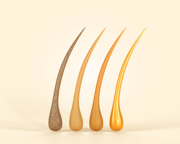 B발라민 비오틴 성분 효능 섭취 시 참고사항