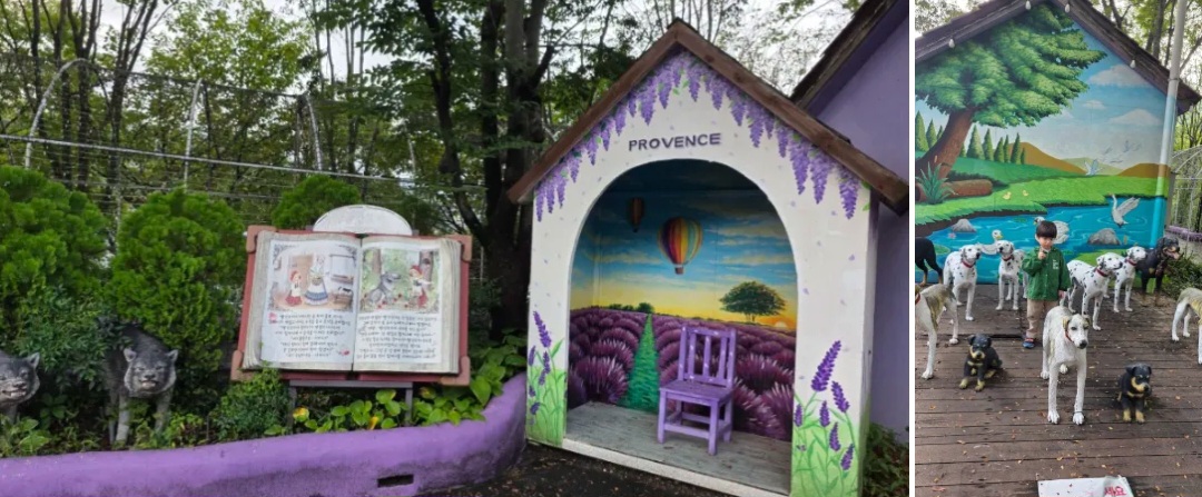 '청도 프로방스' 방문 후기