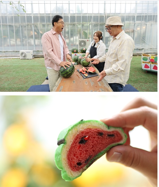 동네한바퀴-함안수박쌀빵-아라깨비식물카페