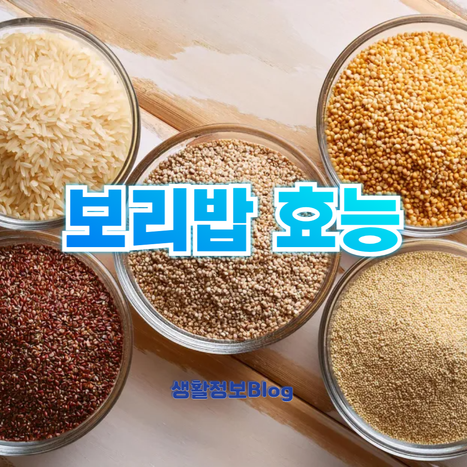 보리밥 효능