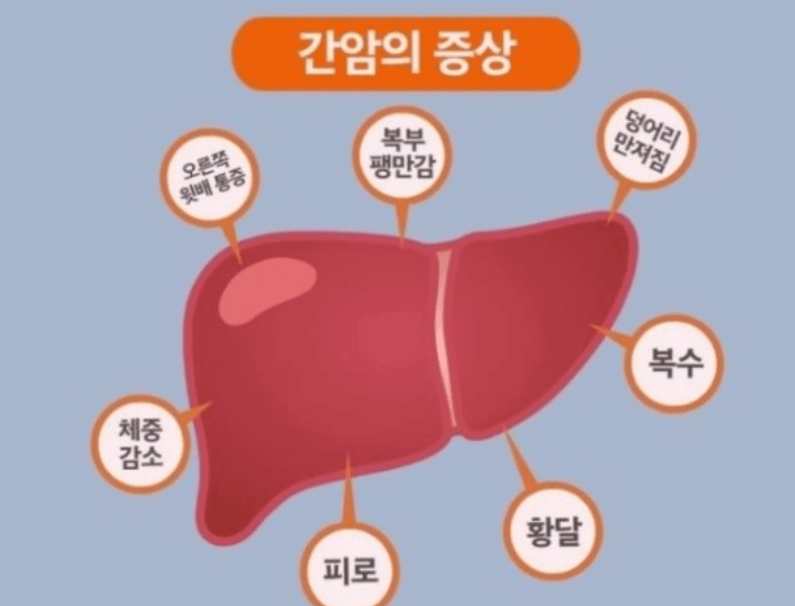 대표 증상